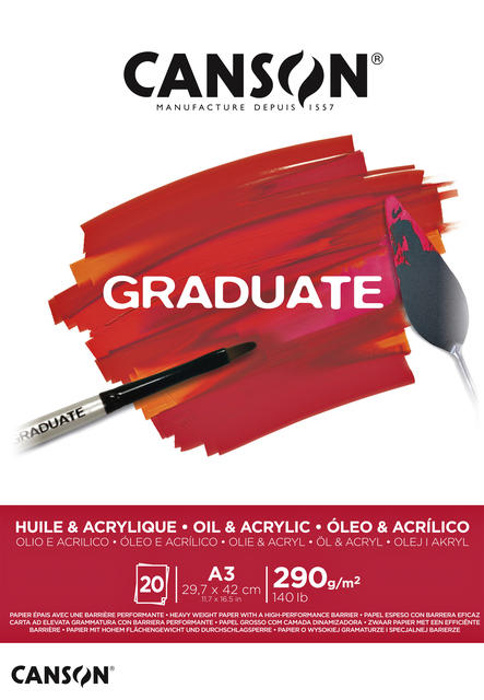 SCHILDERPAPIER CANSON GRADUATE 20VEL