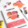 SCHILDERPAPIER CANSON GRADUATE 20VEL
