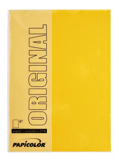 KOPIEERPAPIER PAPICOLOR A4 200GR