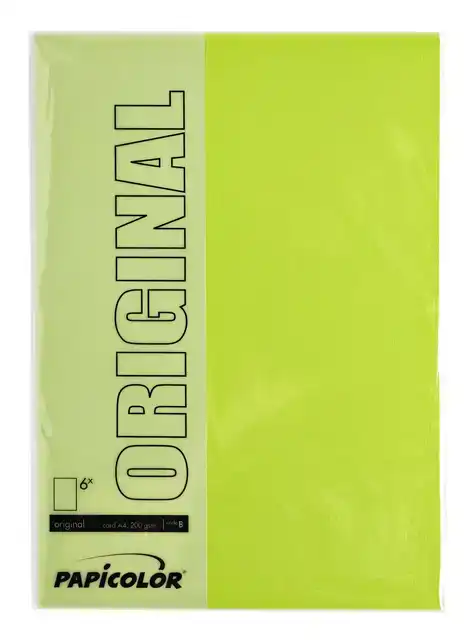 KOPIEERPAPIER PAPICOLOR A4 200GR