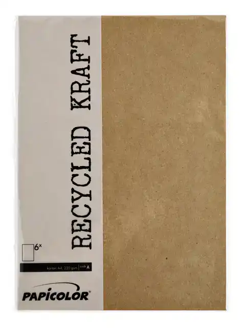 KOPIEERPAPIER PAPICOLOR A4 220GR KRAFT