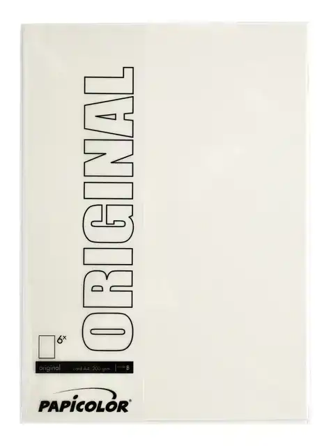 KOPIEERPAPIER PAPICOLOR A4 100GR