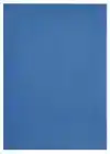KOPIEERPAPIER PAPICOLOR A4 200GR ROYAL