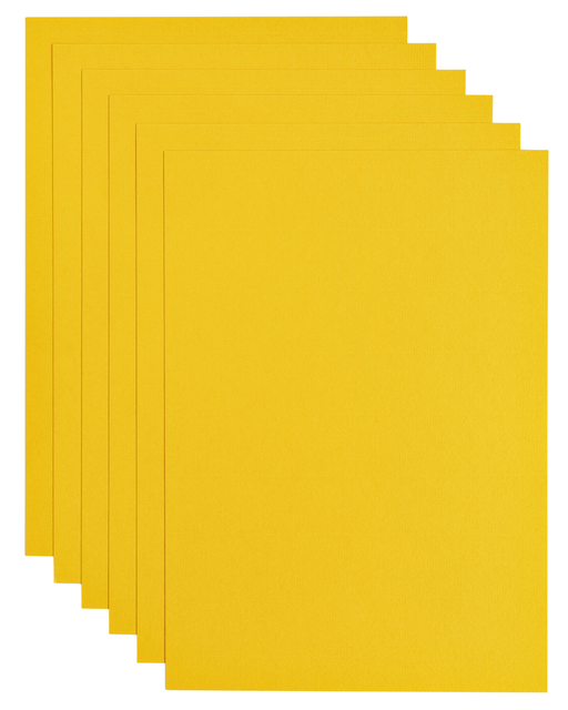 KOPIEERPAPIER PAPICOLOR A4 200GR