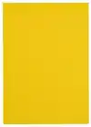 KOPIEERPAPIER PAPICOLOR A4 200GR