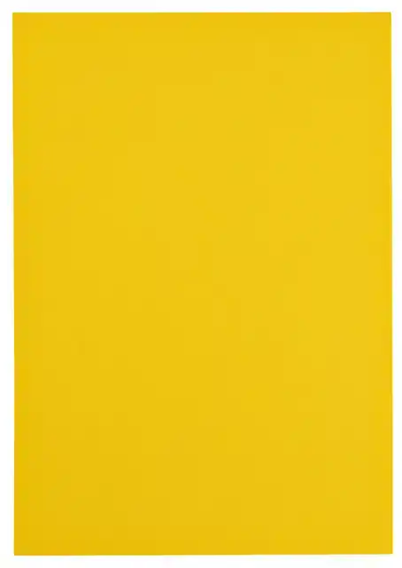 KOPIEERPAPIER PAPICOLOR A4 200GR