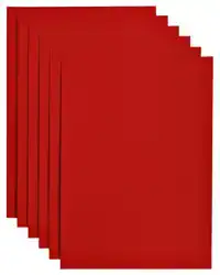 KOPIEERPAPIER PAPICOLOR A4 100GR ROOD