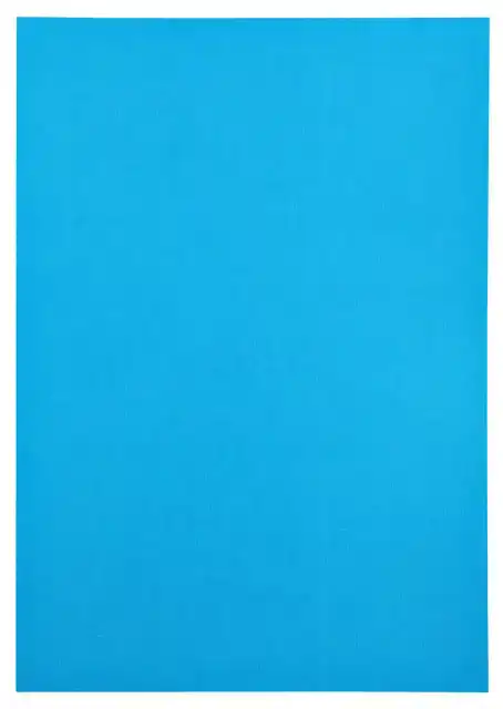 KOPIEERPAPIER PAPICOLOR A4 100GR