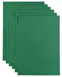 KOPIEERPAPIER PAPICOLOR A4 200GR