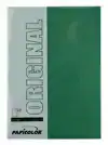 KOPIEERPAPIER PAPICOLOR A4 200GR