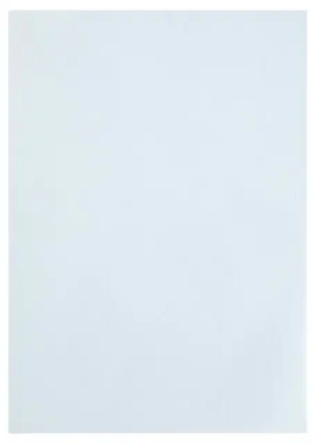 KOPIEERPAPIER PAPICOLOR A4 100GR