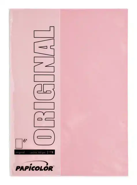KOPIEERPAPIER PAPICOLOR A4 100GR