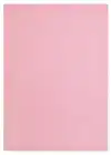 KOPIEERPAPIER PAPICOLOR A4 100GR