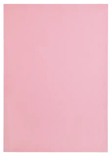 KOPIEERPAPIER PAPICOLOR A4 100GR