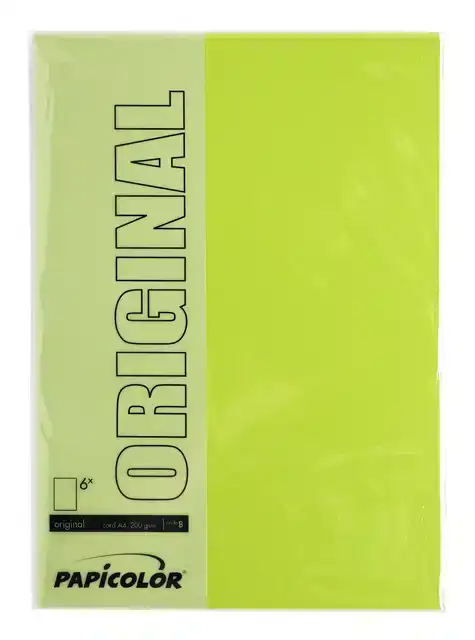 KOPIEERPAPIER PAPICOLOR A4 100GR