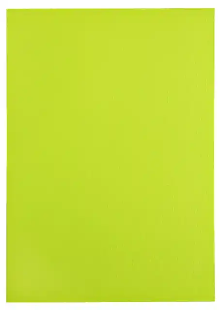 KOPIEERPAPIER PAPICOLOR A4 200GR