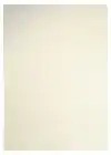 KOPIEERPAPIER PAPICOLOR A4 300GR IVOOR