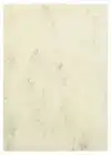 KOPIEERPAPIER PAPICOLOR A4 200GR MARBLE