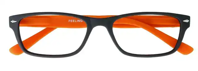 LEESBRIL I NEED YOU +1.00DPT FEELING