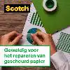 PLAKBAND SCOTCH MAGIC 810 25MMX66M