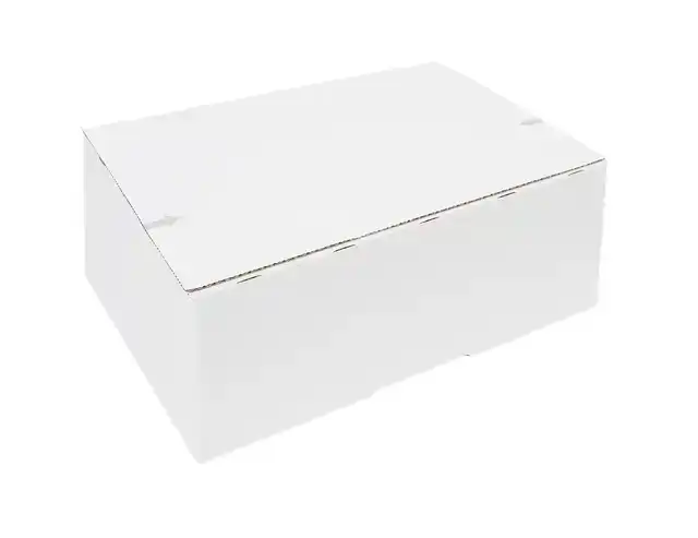 POSTPAKKETBOX IEZZY 2 200X140X80MM WIT