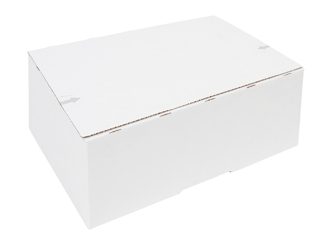 POSTPAKKETBOX IEZZY 4 305X215X110MM WIT