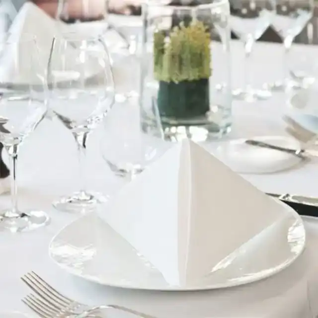DINERSERVET TORK LINSTYLE PREMIUM WIT