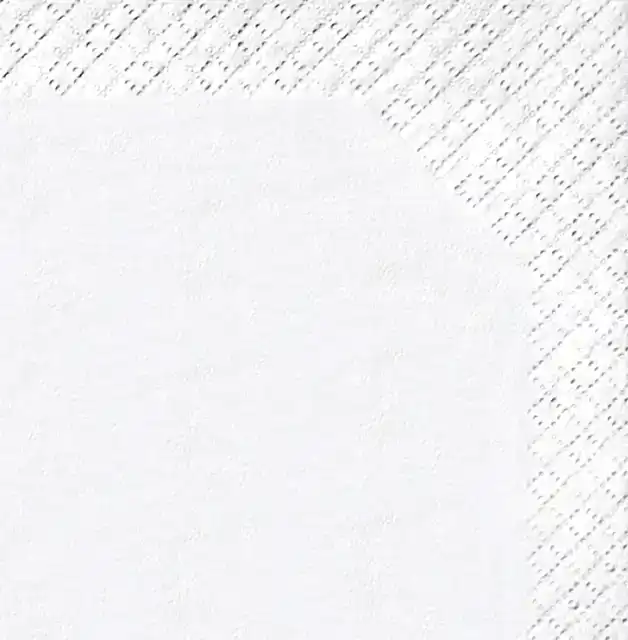 ZAKDOEK SATINO PRESTIGE 4LAAGS 15X10