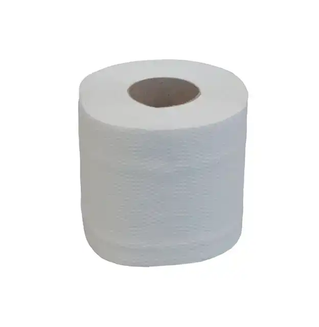 TOILETPAPIER KATRIN 2LAAGS 250 VEL