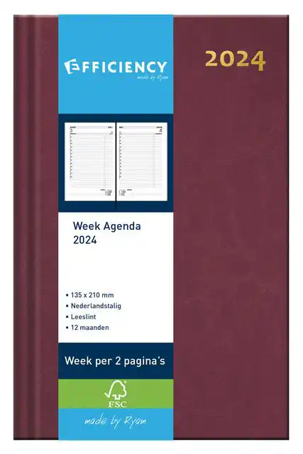 AGENDA 2026 RYAM EFFICIENCY BALADEK