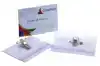 BADGE EUROPEL MET CLIP + SPELD 90X60MM