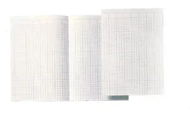 ACCOUNTANTSPAPIER DJOIS ATL A4 14 KOLOM