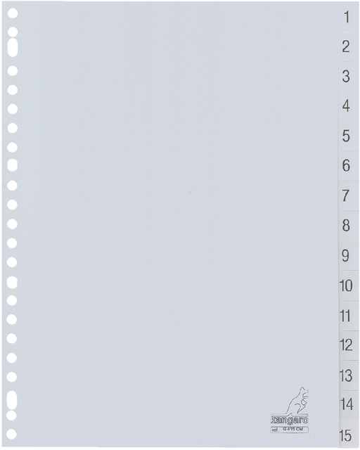 TABBLAD KANGARO G415CM A4 23R PP 15DLG