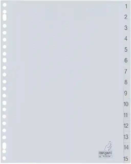 TABBLAD KANGARO G415CM A4 23R PP 15DLG