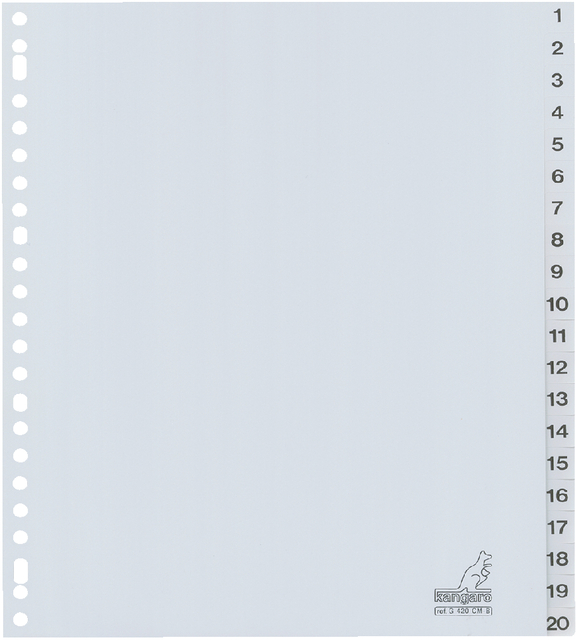 TABBLAD KANGARO G420CM-B A4 23R PP