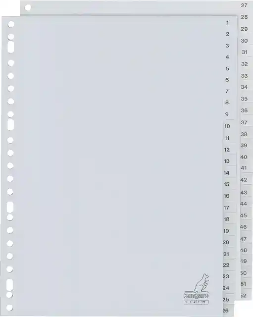TABBLAD KANGARO 23R G452CM 1 52