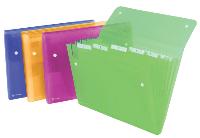 SORTEERMAP REXEL ICE 6TAB ASSORTI