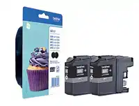 INKTCARTRIDGE BROTHER LC-123BKBP2 ZWART