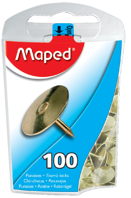 PUNAISES MAPED MESSING 100ST