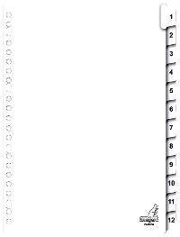 TABBLAD KANGARO 23R PK412CM 1 12