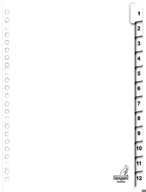 TABBLAD KANGARO 23R PK412CM 1 12