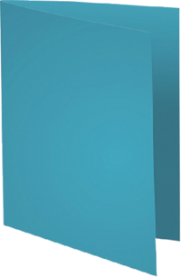 VOUWMAP EXACOMPTA FOREVER A4 170GR