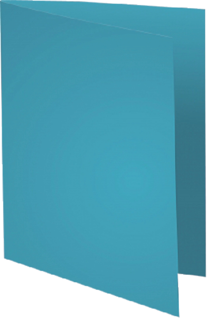 VOUWMAP EXACOMPTA FOREVER A4 170GR