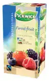 THEE PICKWICK FAIR TRADE FOREST FRUIT