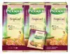 THEE PICKWICK TROPICAL 25X1.5GR MET