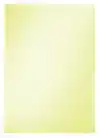 L-MAP LEITZ PREMIUM COPY SAFE PVC A4