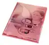 L-MAP LEITZ PREMIUM COPY SAFE PVC A4