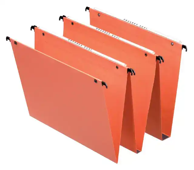 HANGMAP ESSELTE ORGAREX DUAL VERT