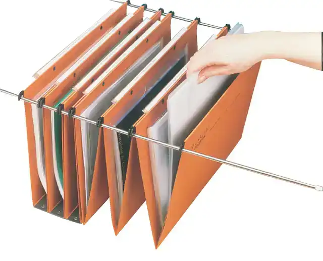 HANGMAP ESSELTE ORGAREX KORI 372X245MM