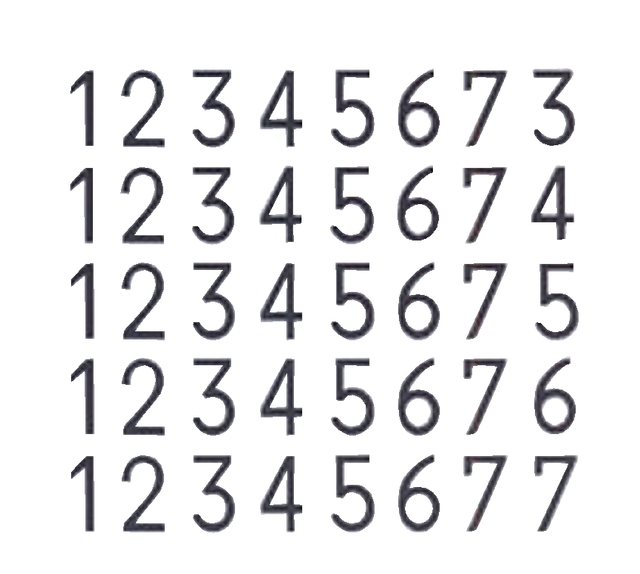 NUMEROTEUR REINER B2 13043 METAAL 6